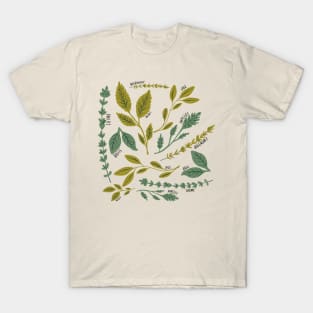 Green Herb Delight: A Pattern Featuring Basil, Thyme, Parsley, and Mint T-Shirt